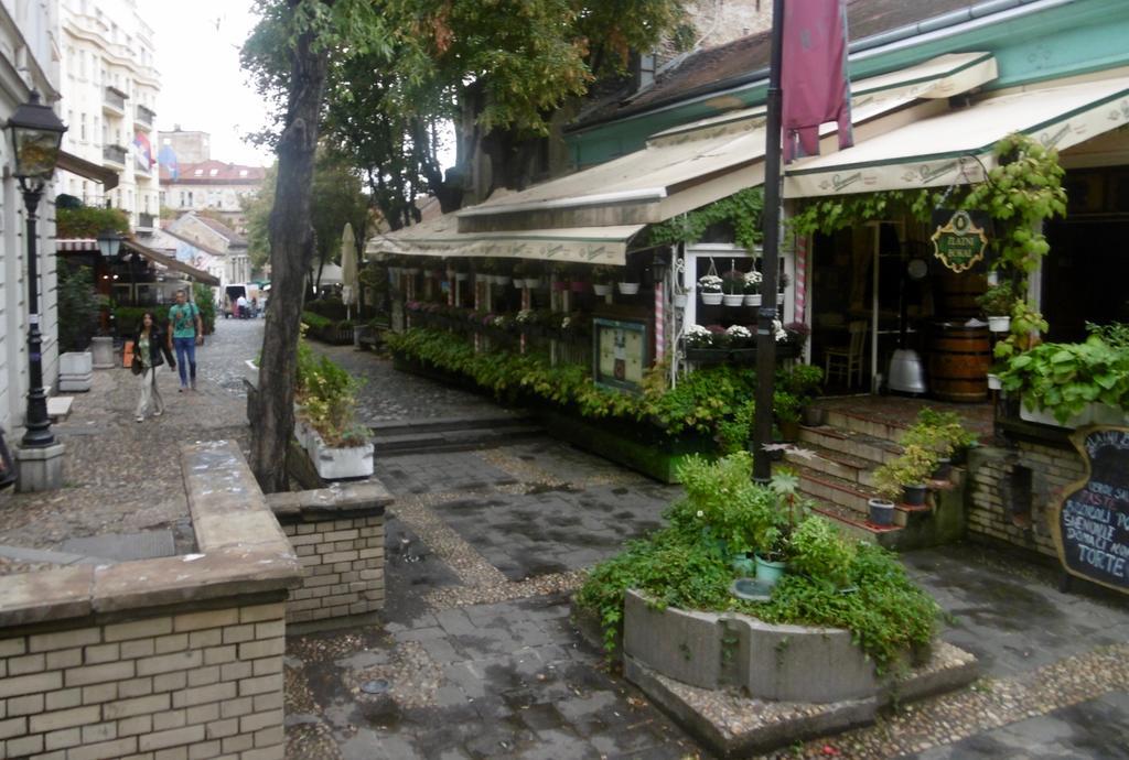 Apartment Nedic Beograd Eksteriør billede